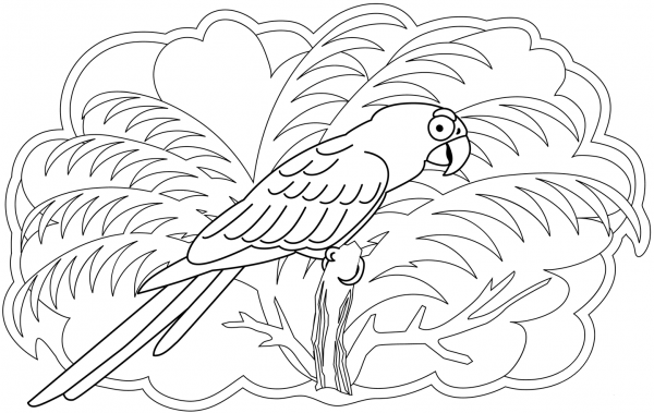 Parrot coloring page image