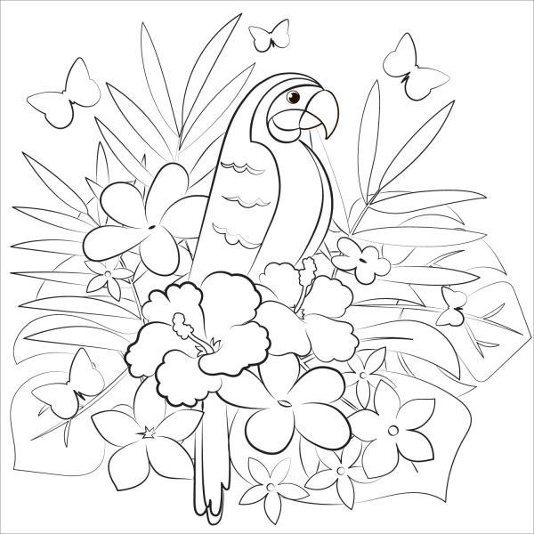 Parrot coloring page image