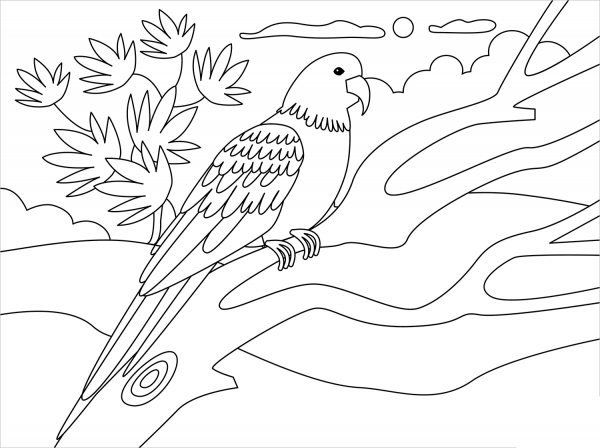 Parrot coloring page image