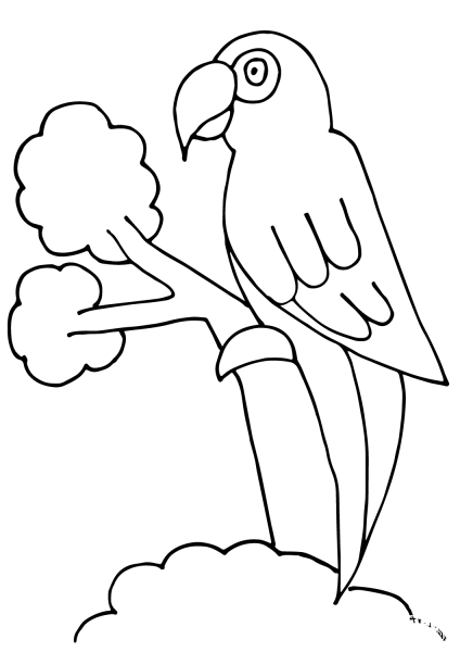 Parrot coloring page image