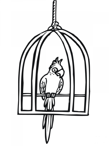 Parrot in a Cage coloring page image