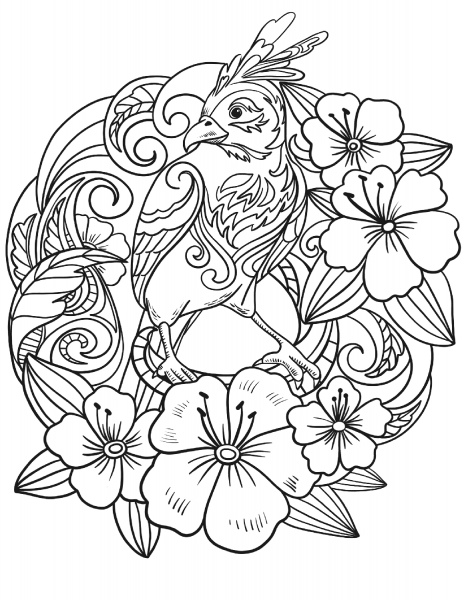 Parrot in Flowers coloring page image