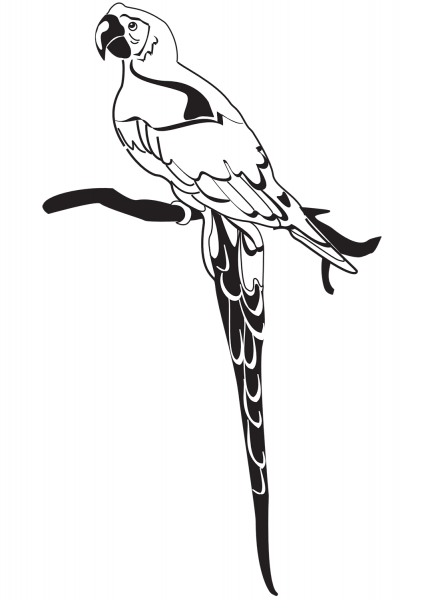 Parrot on Branch coloring page image