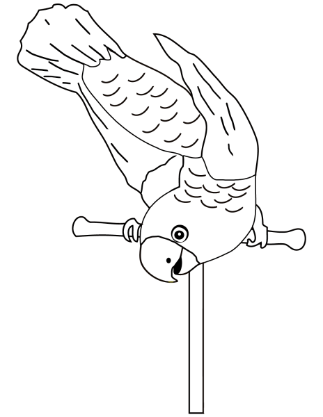 Parrot on Perch coloring page image