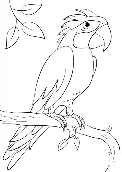 Parrot Perching on Branch coloring page image