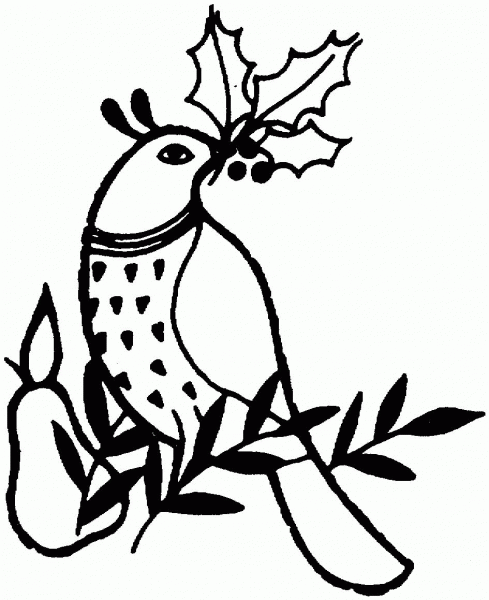 Partridge coloring page image