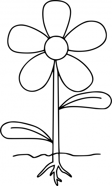 Parts of Plants coloring page image