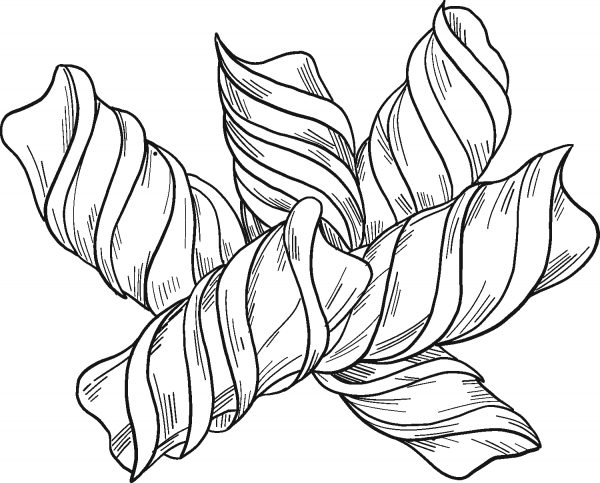 Pasta coloring page image