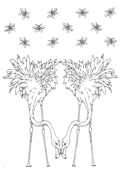 Pattern with flamingos coloring page image