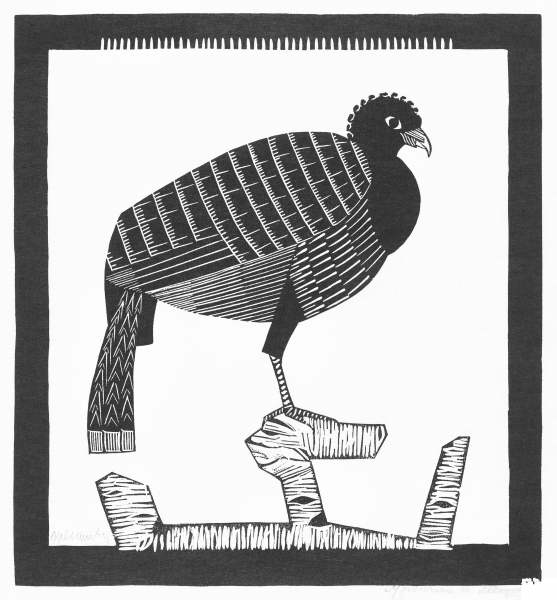 Pauwies coloring page image