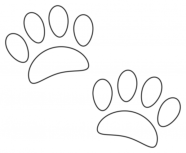 Paw Prints coloring page image