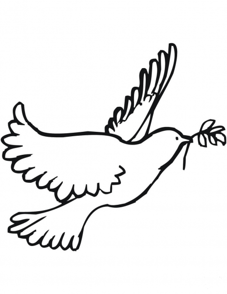 Peace Dove coloring page image