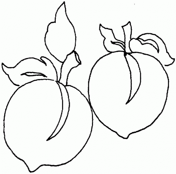 Peach coloring page image