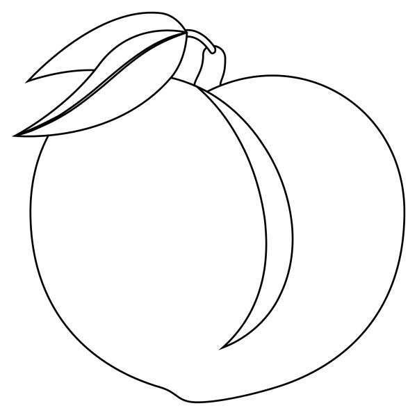Peach coloring page image