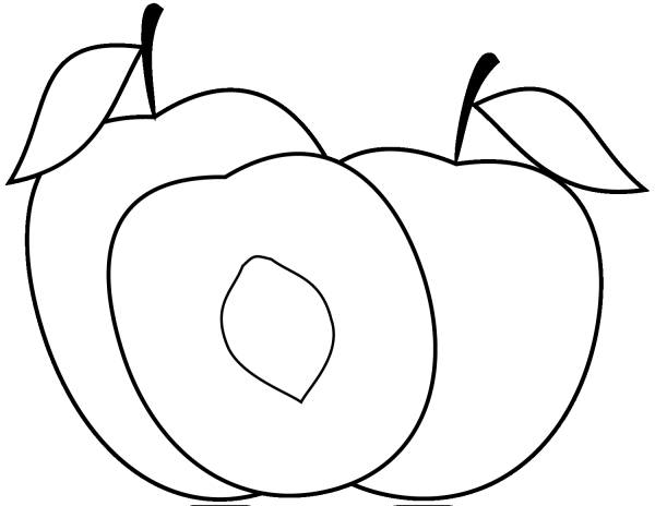 Peach coloring page image