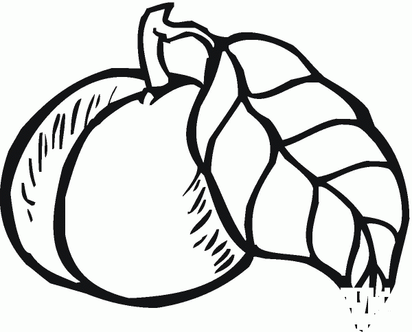 Peach coloring page image