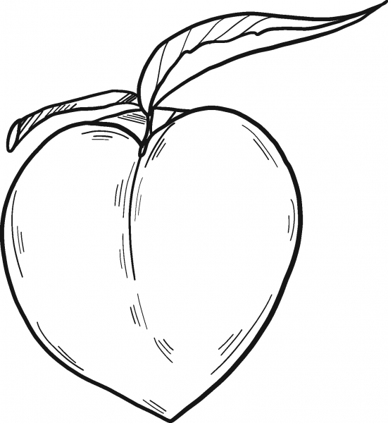 Peach coloring page image