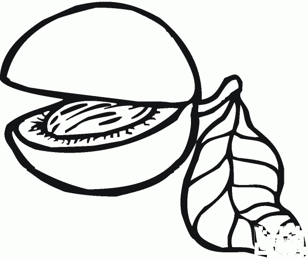 Peach coloring page image