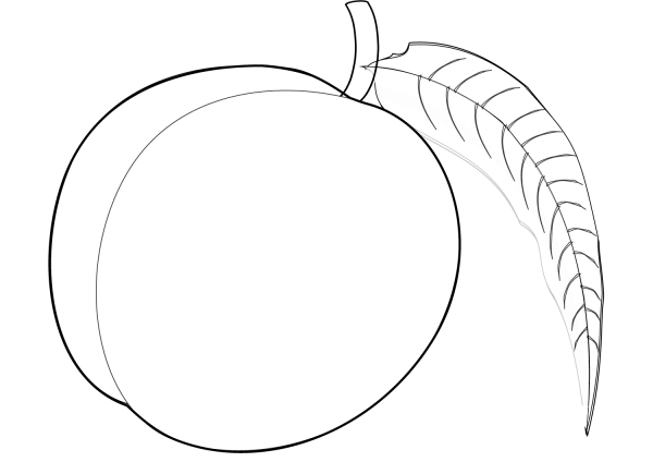 Peach coloring page image