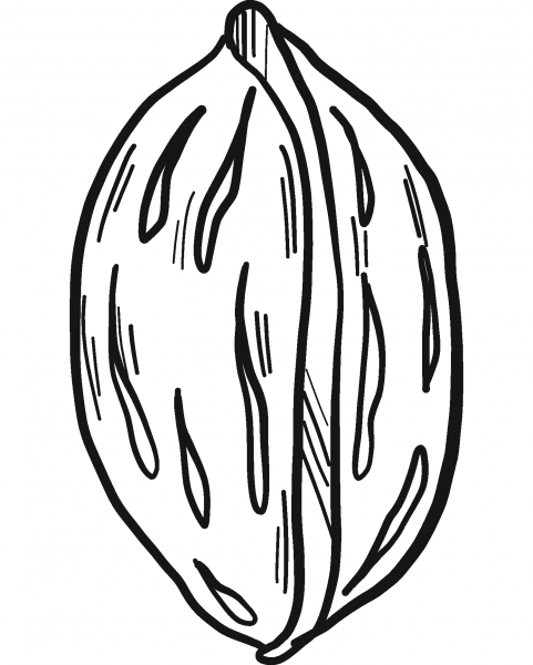 Peach Stone coloring page image