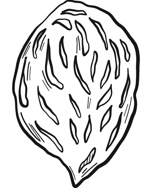 Peach Stone coloring page image