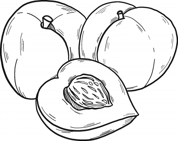 Peaches coloring page image