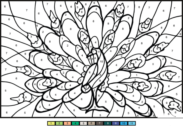 Peacock Color by Number image