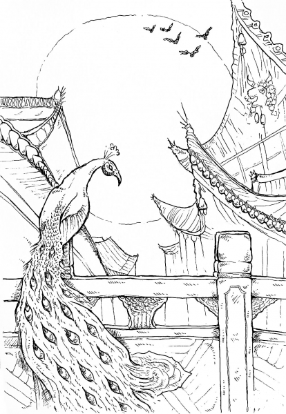 Peacock coloring page image