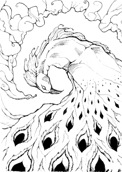 Peacock coloring page image