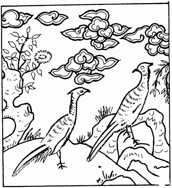 Peacock coloring page image