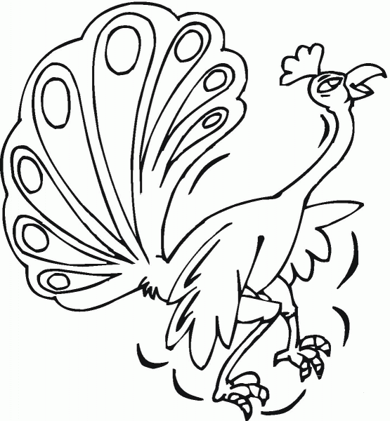 Peacock coloring page image