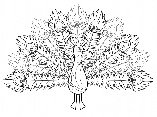 Peacock coloring page image