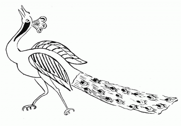 Peacock coloring page image
