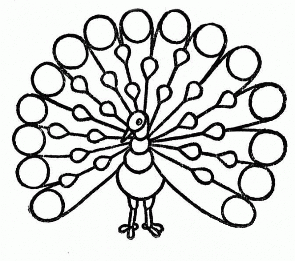 Peacock with Tail Open coloring page image