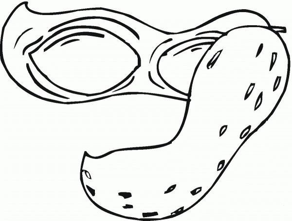 Peanut  coloring page image