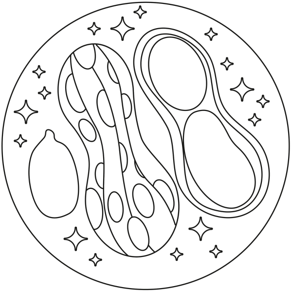 Peanut coloring page image
