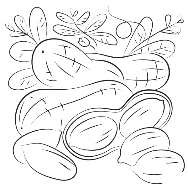 Peanut coloring page image