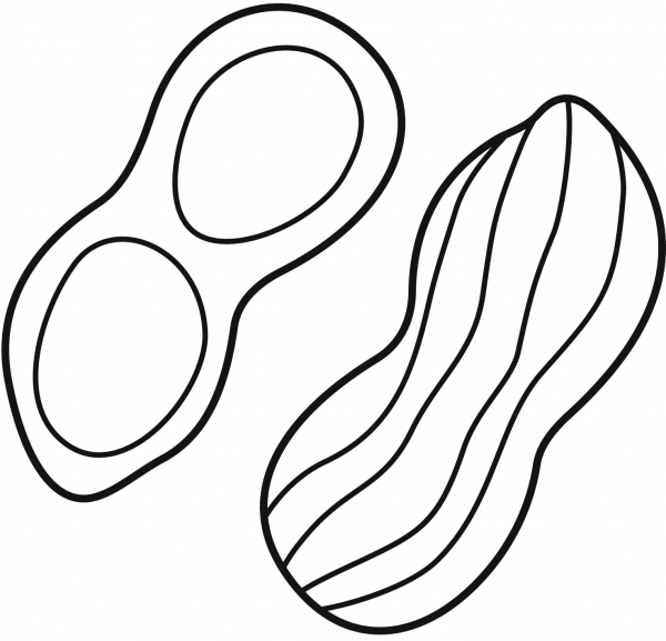 Peanut coloring page image