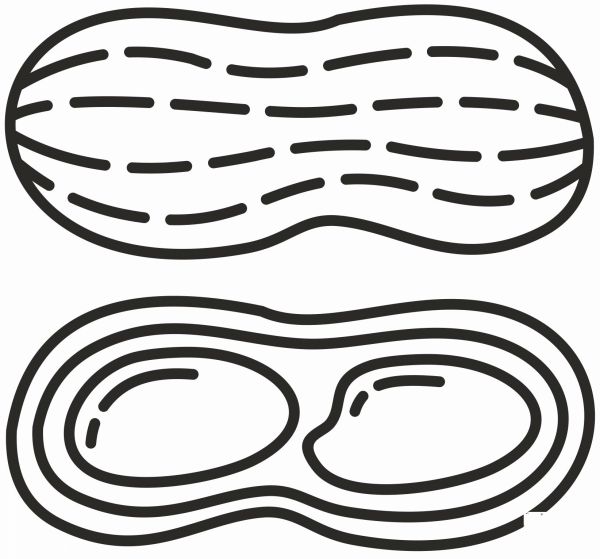 Peanut coloring page image