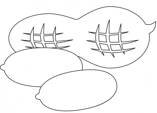 Peanut coloring page image