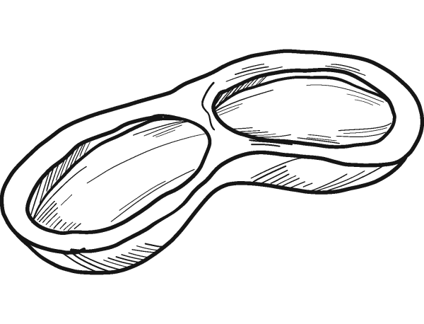 Peanut coloring page image
