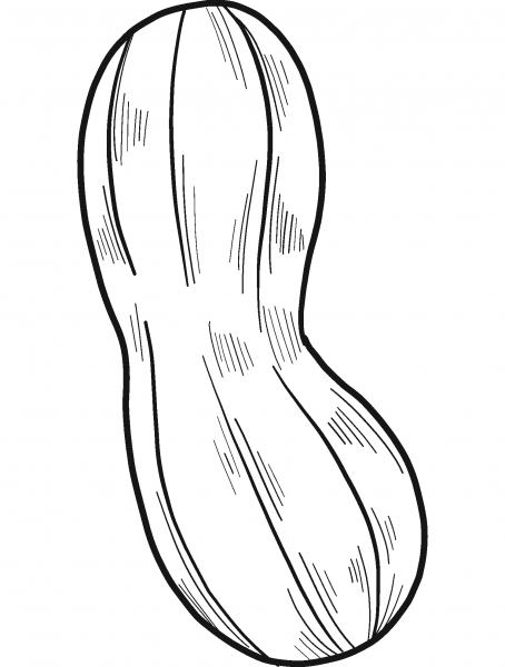 Peanut coloring page image