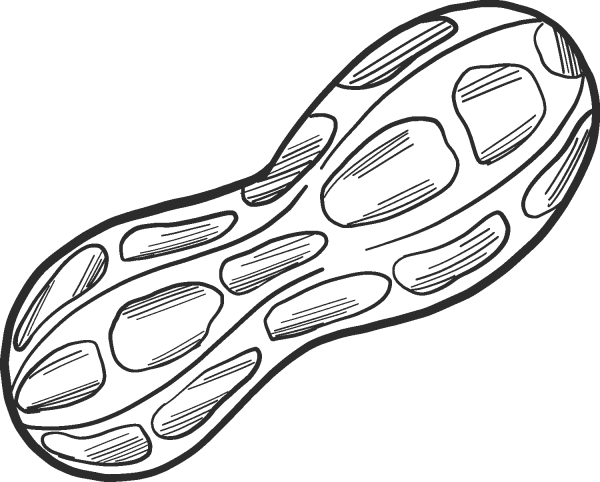 Peanut coloring page image