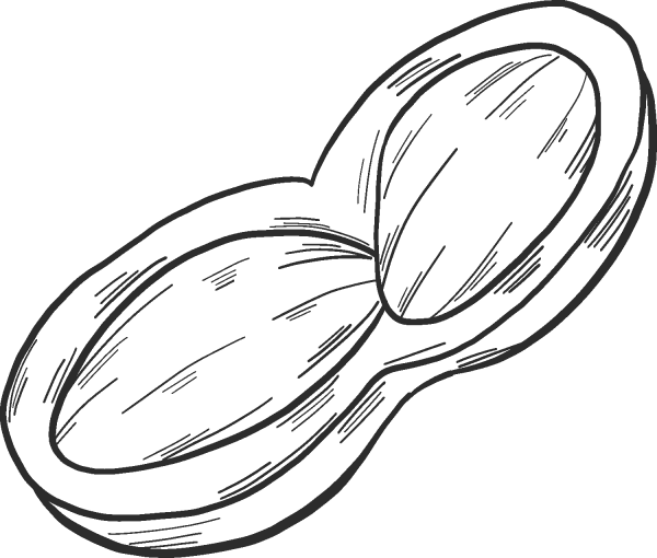 Peanut coloring page image