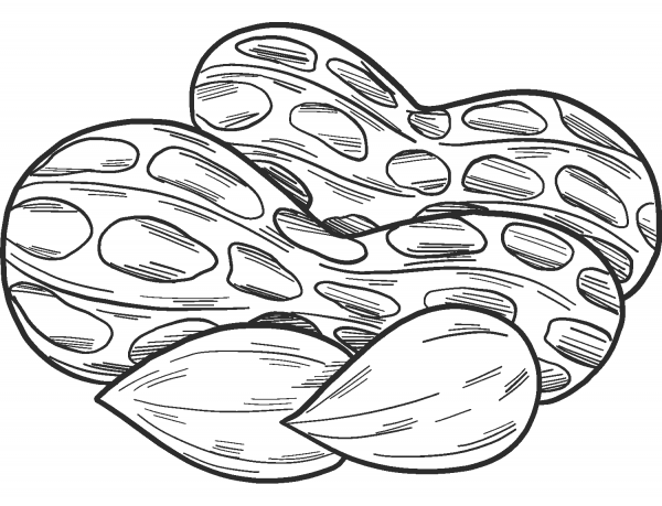 Peanuts coloring page image