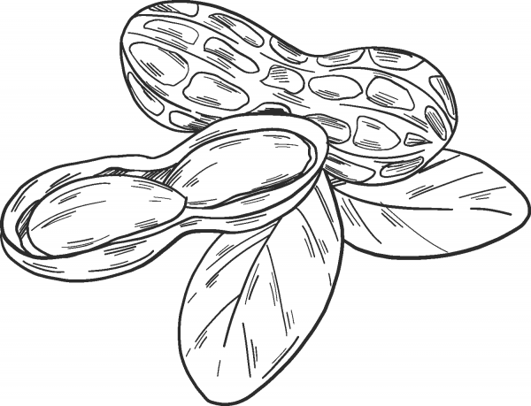 Peanuts coloring page image
