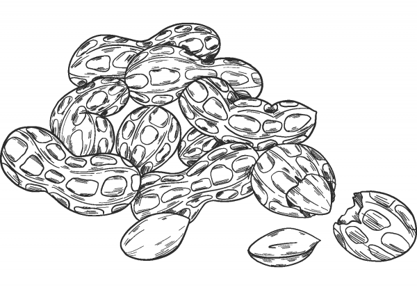 Peanuts coloring page image