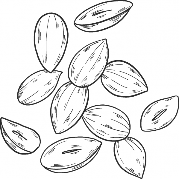 Peanuts coloring page image