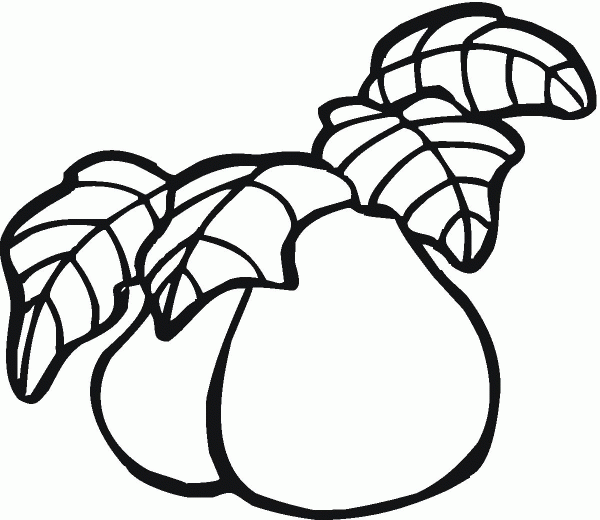 Pear coloring page image