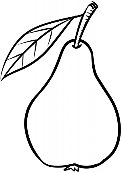 Pear coloring page image